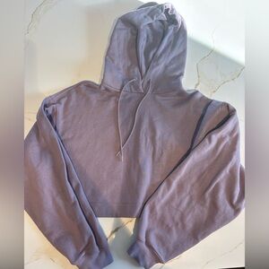 Alo Cropped Hoodie